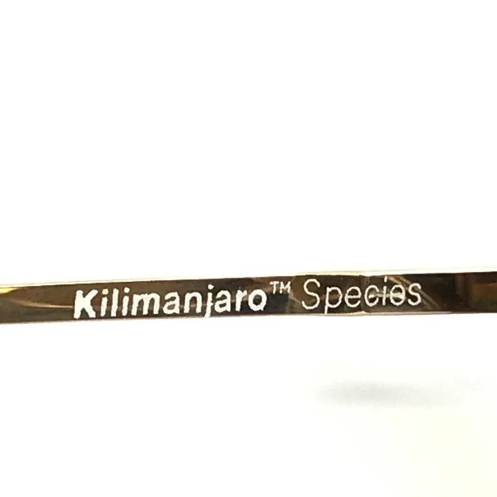 Vintage Serengeti Sunglasses 5123S Mens Gold Aviator Photochromic Kilimanjaro